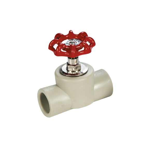 Picture of ROYU Gate Valve - RPPGV20