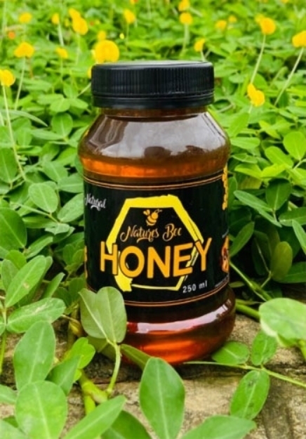 Picture of Natures Bee Honey Honey Bee (250 ml, 350 ml, 700 ml, 750 ml), NBEEHONEY
