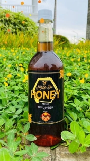 Picture of Natures Bee Honey Honey Bee (250 ml, 350 ml, 700 ml, 750 ml), NBEEHONEY