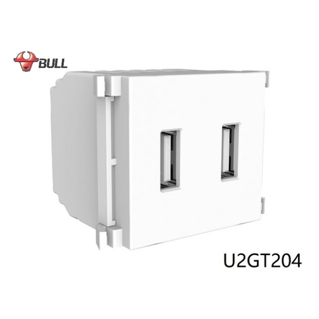 Picture of Bull 2 Gang USB Outlet (White), U2GT204