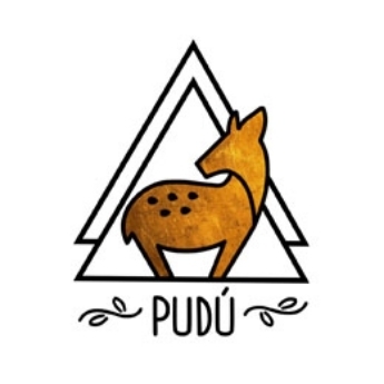 Picture for manufacturer Pudu