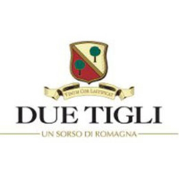 Picture for manufacturer Due Tigli