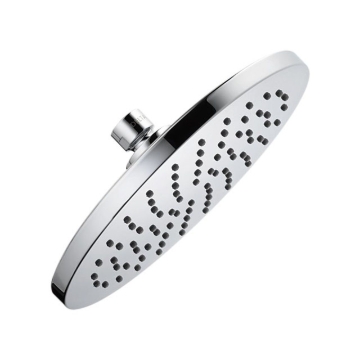 Picture of Delta Shower head - DTISH11007