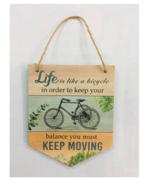 BWF2024-1 - Life is like bycicle
