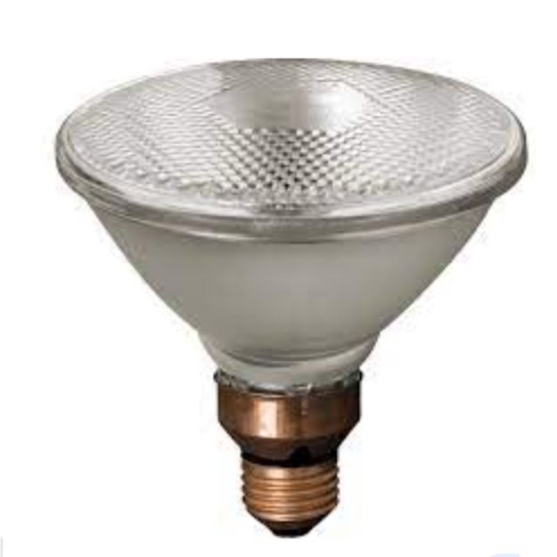 Picture of FIREFLY Lighting PAR38 Halogen Lamp - FPARFC80